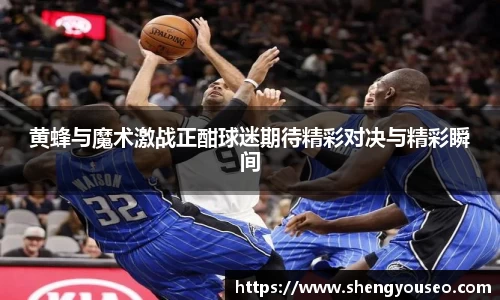 黄蜂与魔术激战正酣球迷期待精彩对决与精彩瞬间