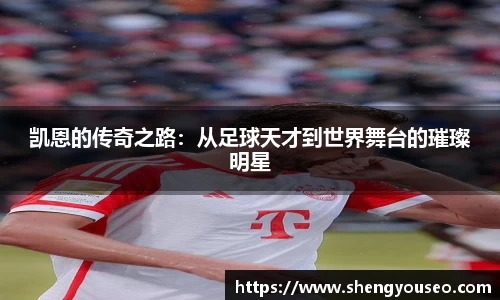 球王会体育